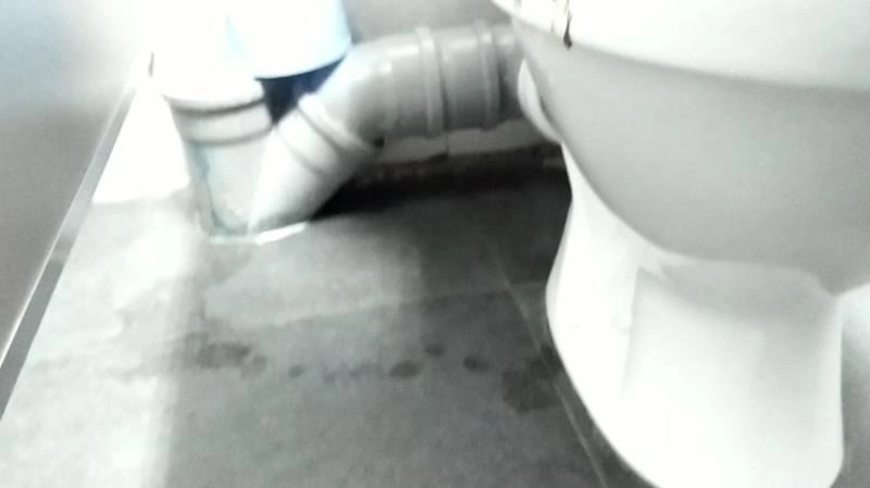 Diarhea and pee in WC nastygirl - (2021/FullHD/Scatshop)
