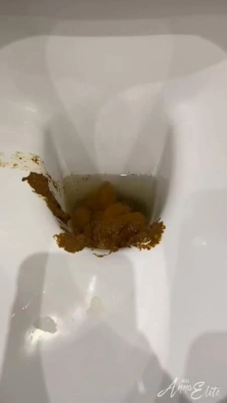 A big pile of shit in the toilet. P1 (2024/HD)