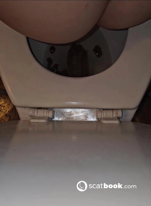 Morning Toilet Poo P1 (2024/UltraHD/2K)