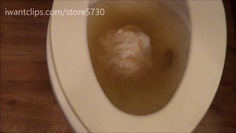 Ashley Dobbs Damn I Clogged The Toilet Keepingitfunky (2025/FullHD)