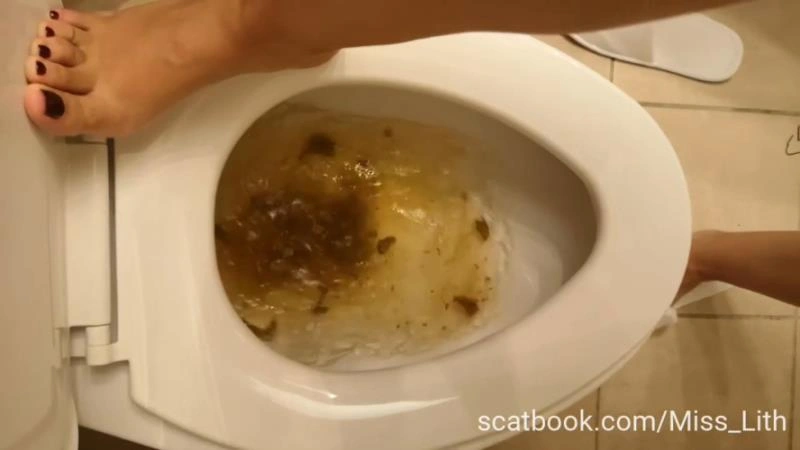 Scat Verbal Humiliation The Toilet is Сlogged P1 (2025/HD)