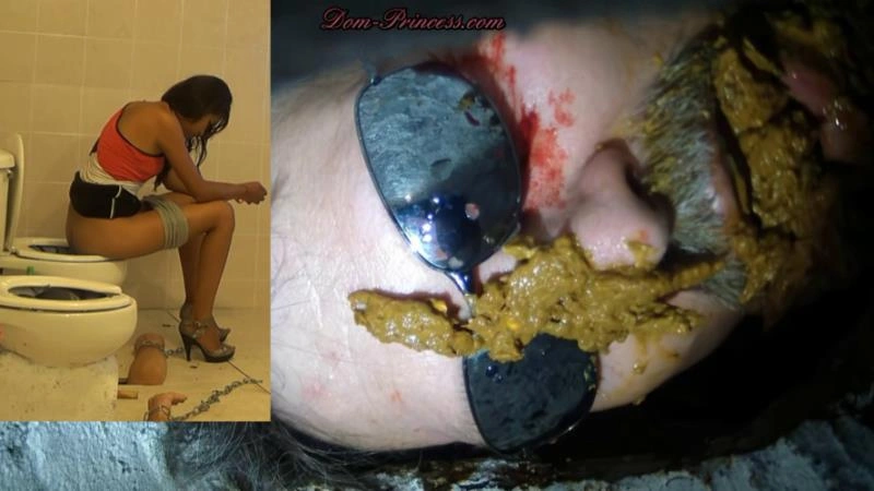 Scatmania Men Trapped In Toilets Get Used - Now You're Officially A Toilet (2025/UltraHD/4K)