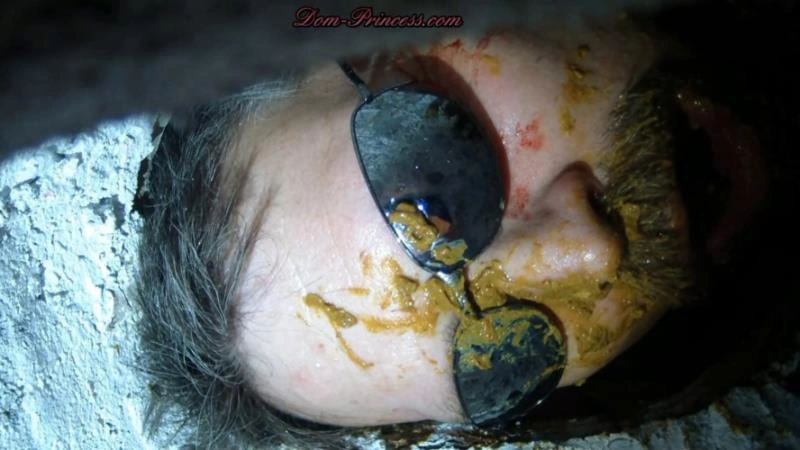 Scatmania Now You Are Officially A Toilet Part 8 Andrea Hd (2025/HD)