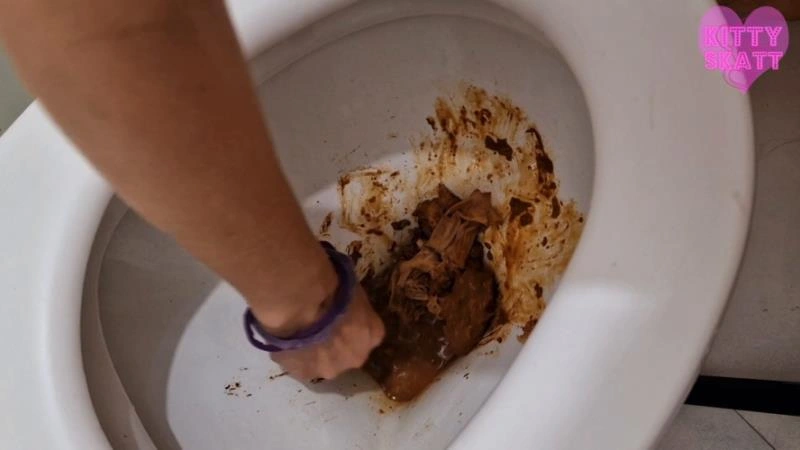 Toilet Aclogcalypse Disasters Kitty Skatt - (2025/FullHD)