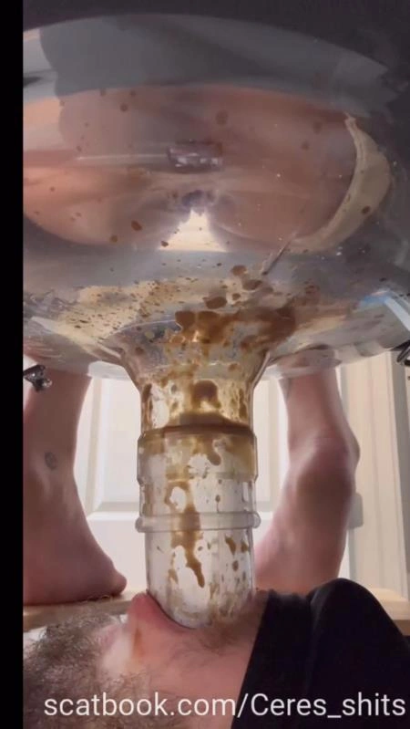 A Day of Shitting Down My Toilet's Throat P1 (2025/SD)