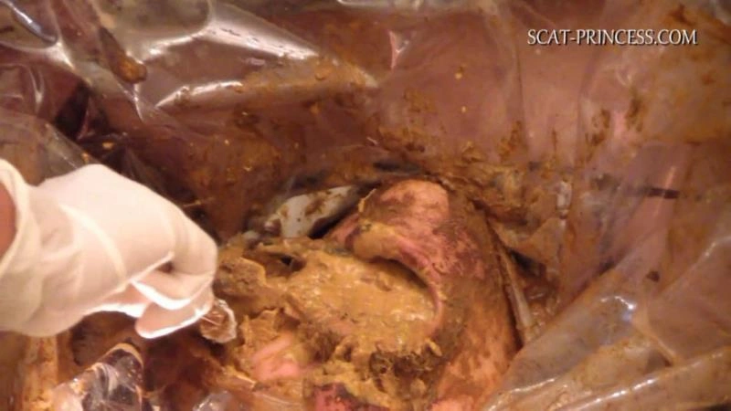 Scatmania Underground Toilet Slave Part 5 Sc M St (2025/HD)