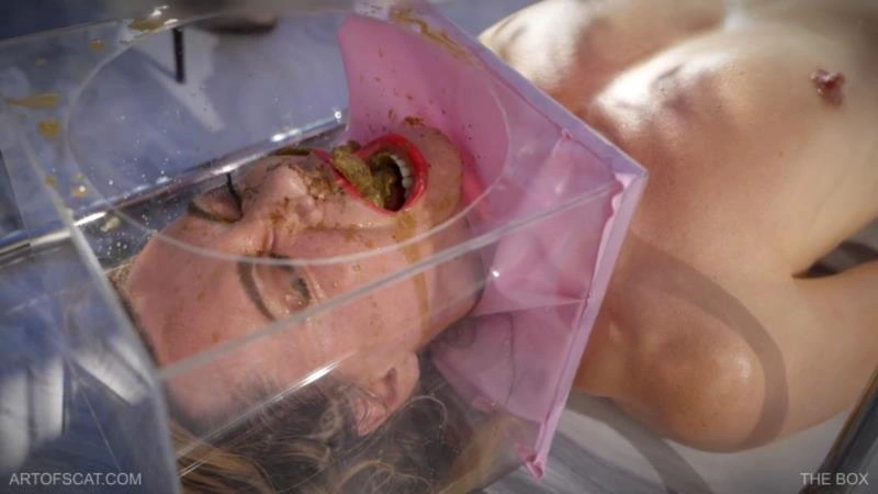 THE BOX QS, NAZRYANA - (2025/FullHD)