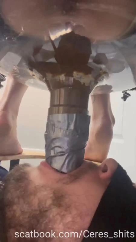 Toilet Annihilation with Goddess Ceres P1 (2025/SD)