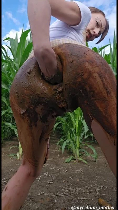 The A-maize-ing Mycelium mother Mycelium Mother - (2025/SD)