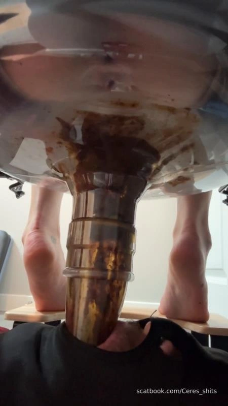 Daily Toilet Torture » Mixfemdomcc - Latest Femdom Porn for Online Streaming Goddess Ceres - (2025/SD)