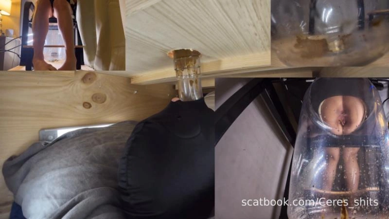 The Ultimate Human Toilet Setup Configuration » Mixfemdomcc - Latest Femdom Porn for Online Streaming Goddess Ceres - (2025/FullHD)