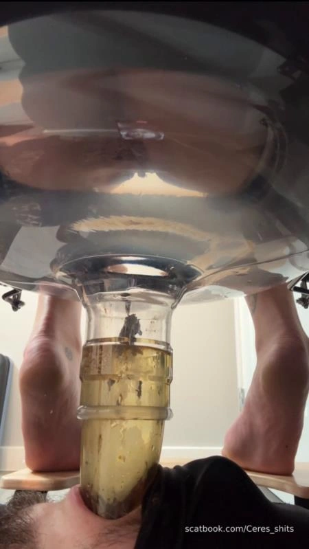 Five Levels of Shit » Mixfemdomcc - Latest Femdom Porn for Online Streaming Goddess Ceres - (2025/SD)