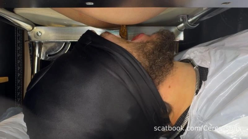 2025-11-15 - Shit I Took The Other Night - Direct Goddess Ceres - (2025/FullHD)