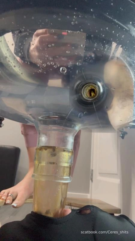 Septic Tank Almost Fails » Mixfemdomcc - Latest Femdom Porn for Online Streaming Goddess Ceres - (2025/SD)