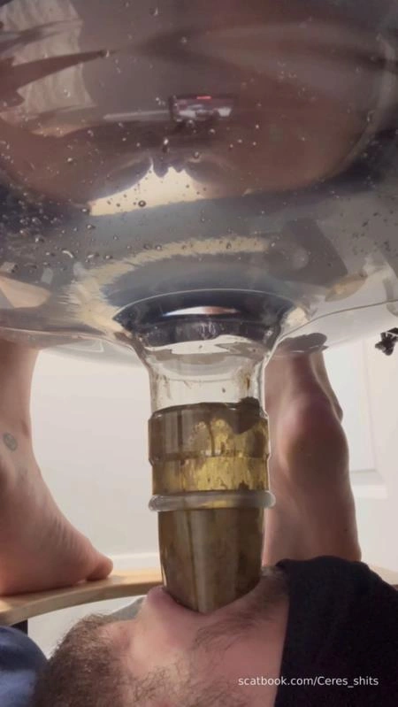 Human Toilet's First Malfunction Infinite Shit Down Your Throat » Mixfemdomcc - Latest Femdom Porn for Online Streaming Goddess Ceres - (2025/SD)