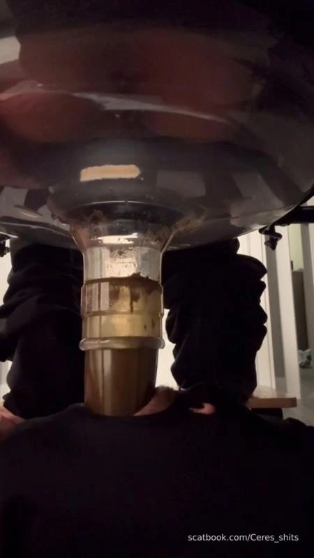 Goddess Ceres-2025-10-19 - Toilet Swallows All My Waste For The Day (2025/SD)