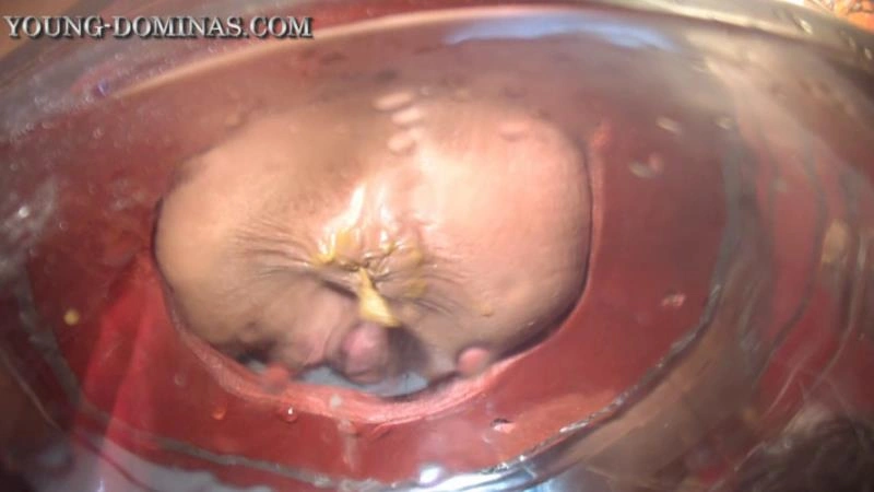 The Poop Barril Part 3 HD. P1 (2026/HD)