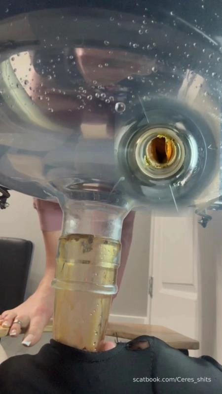 Septic Tank Almost Fails P1 (2026/SD)