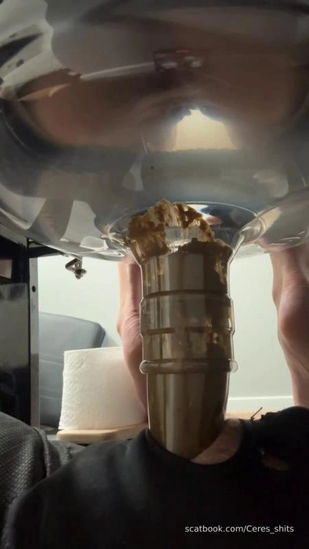 Daily Toilet Torture P1 (2026/SD)