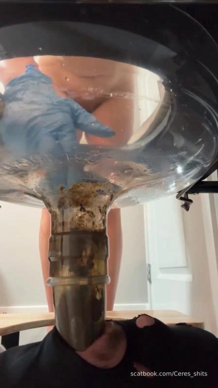 24 Minutes of Daily Toilet Slave Destruction P1 (2026/SD)