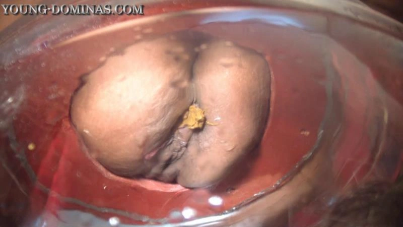 The Poop Barril Part 2 HD Britany. P1 (2026/HD)