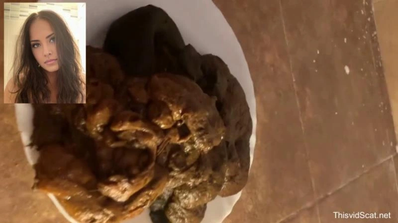 A huge pile of shit goes into the toilet. P1 (2026/HD)