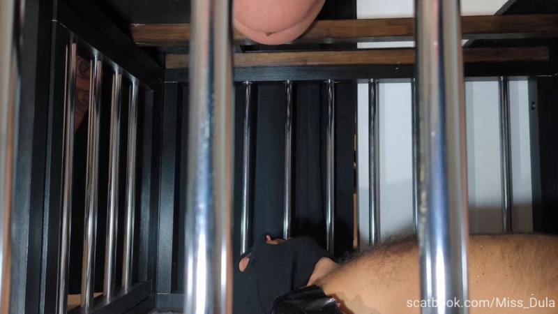 My Poop In His Mouth » Mixfemdomcc - Latest Femdom Porn for Online Streaming MISS DULA - (2026/FullHD)