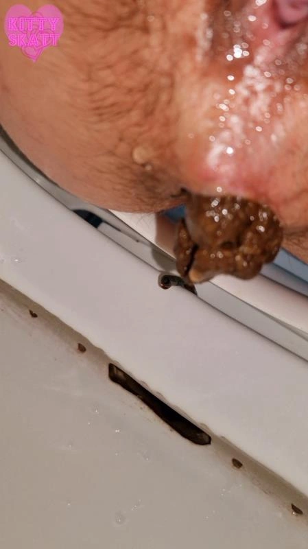 Four unflushable logs (2026/SD)