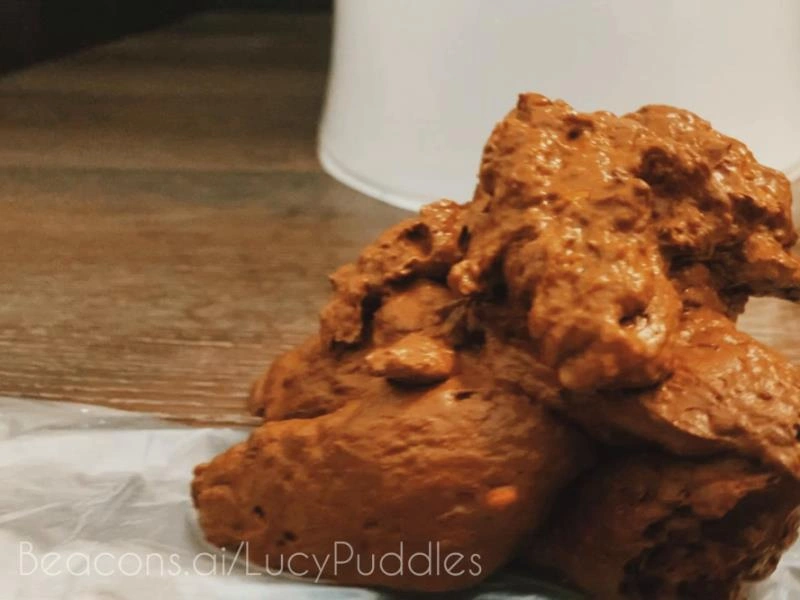 Creamy Turd Eating Encouragement (2026/HD)