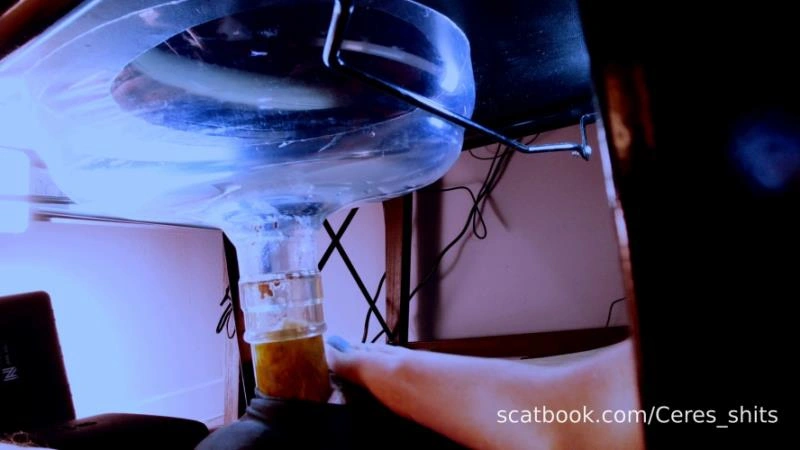A Private Session with My Toilet (2026/FullHD)