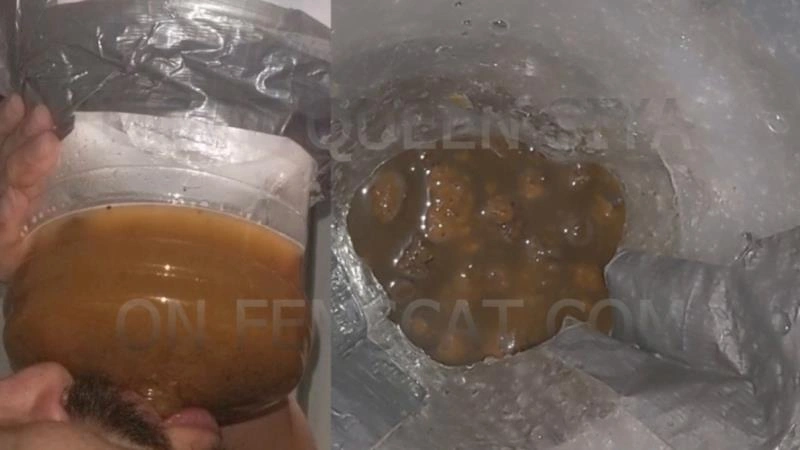 2 Scenes - On all Fours, Vile Diarrhea (2026/HD)