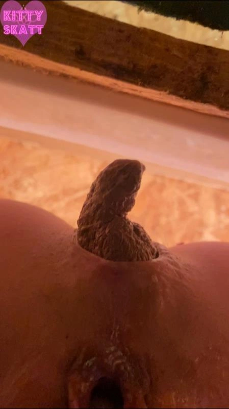 POV hookup in festival toilet Kitty Skatt - (2026/SD)