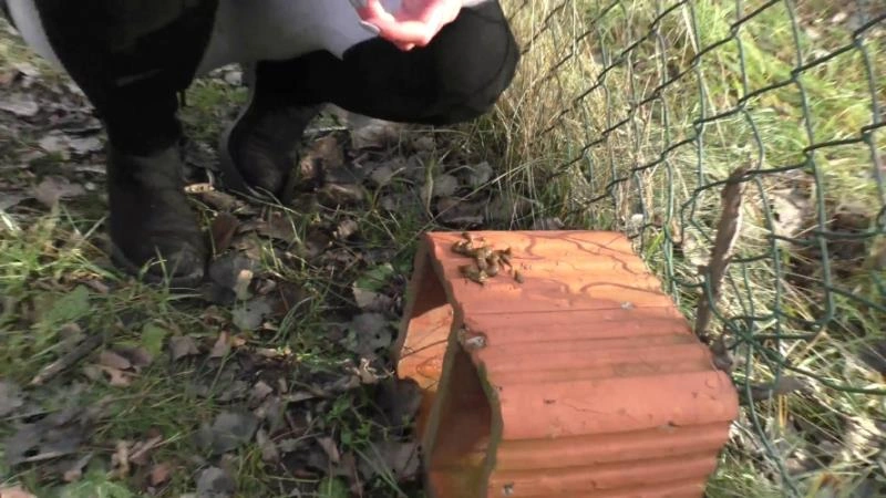 Compilation Dump Set 177 Videos P16 HotDirtyIvone - (2026/FullHD)