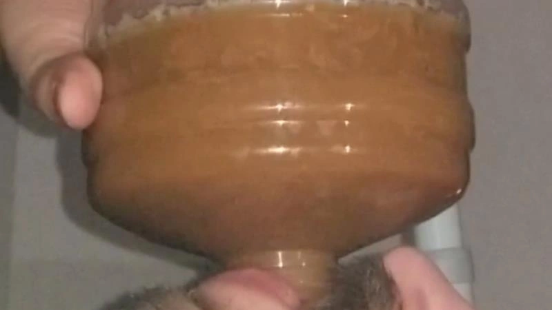 Chugging LITERS of my poop-flavored pee SSBBW Queen Siya - (2026/HD)